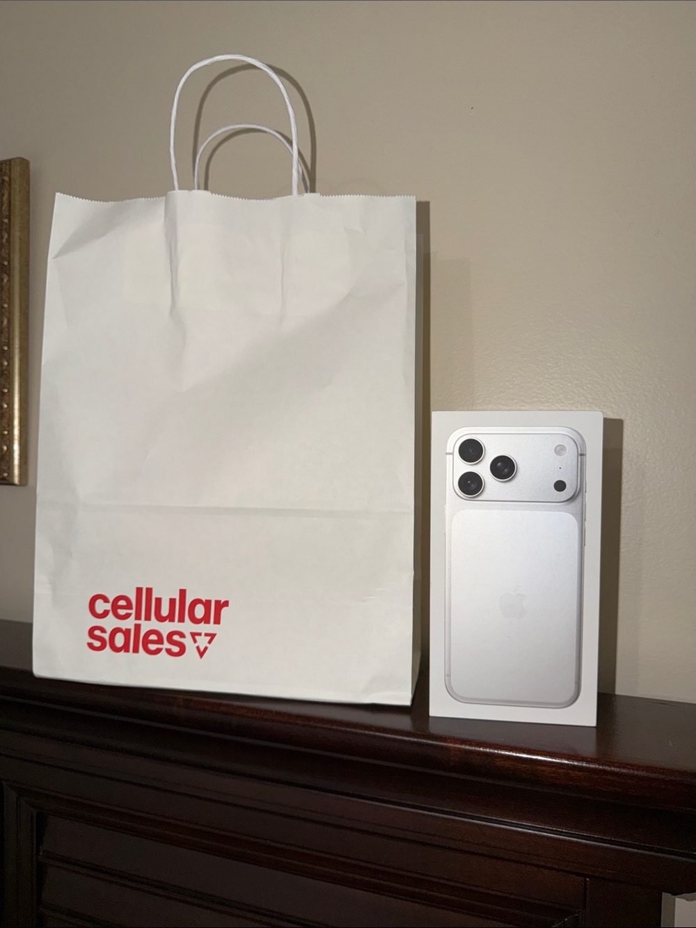 iPhone 17 ProMax Empty Box and Shopping Bag
